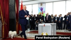 Олександр Лукашенко балотується всьоме в умовах політичної кризи і масштабних репресій. На думку міжнародних організацій, вибори в Білорусі є невільними й недемократичними