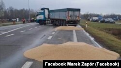 Розсипане учасниками блокування кордону з Україною зерно. Польща, поблизу пункту пропуску «Дорогуськ-Ягодин», 11 лютого 2024 року