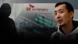Венгрия: 300дөй кыргызстандык мигрант ишсиз калды 