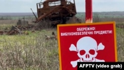 На Херсонщині у лісосмузі у Бериславському районі, місцевий чоловік підірвався на міні, пише ОВА
