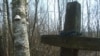 Image result for "Яны Паляковай"
