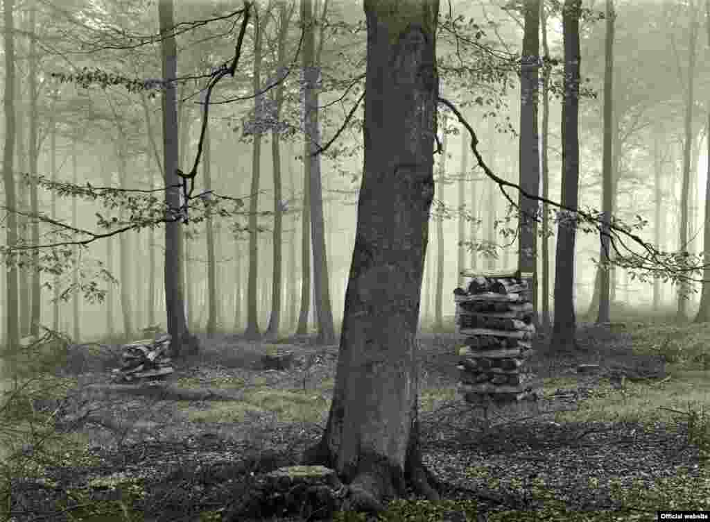 Renger, Pădure, 1954