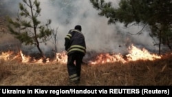 Лісова пожежа в зоні відчуження навколо Чорнобильської АЕС, квітень 2020 року