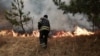 Йдеться про пожежу в Андріївському лісовому урочищі (фото ілюстраційне)