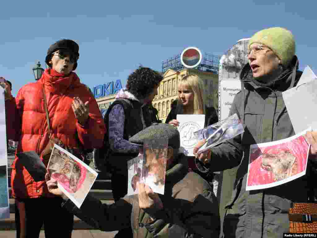 Митингующие требовали принять такие поправки, которые запрещали бы убийство бездомных животных.