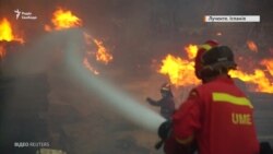 Іспанія і Португалія боряться із лісовими пожежами, людей евакуюють – відео