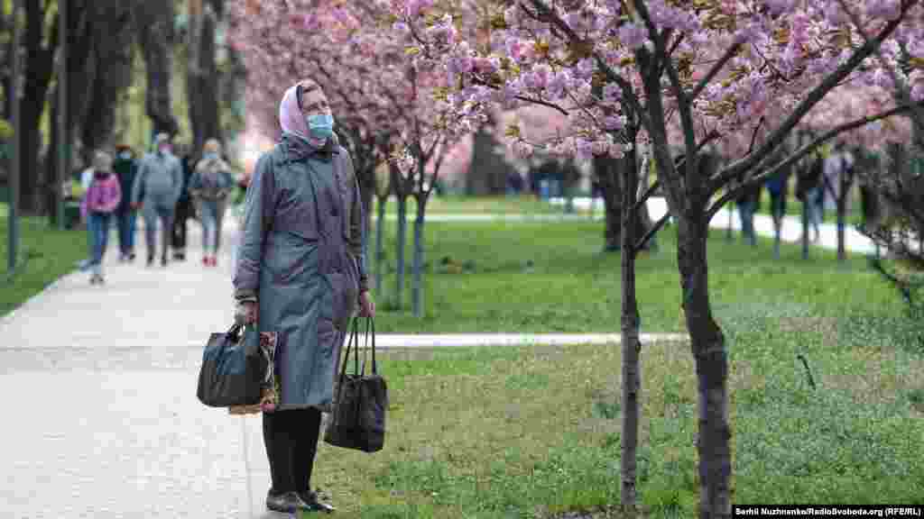 Літня жінка зупинилася подивитися на квіт сакури у київському парку «Кіото» поблизу станцій метро «Лісова» та «Чернігівська». У 2012 році алею внесли в Книгу рекордів України. Її довжина становить понад 987 метрів. Київ, 27 квітня 2020 року ФОТОГАЛЕРЕЯ: У Києві зацвіла алея сакур – фоторепортаж із парку Кіото