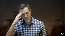 17 січня Amnesty International визнала Навального в’язнем сумління після його затримання і подальшого арешту в Росії