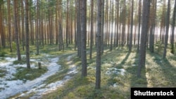 ©Shutterstock