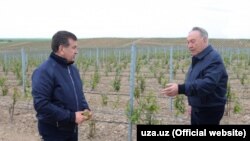 Президент Казахстана Нурсултан Назарбаев и президент Узбекистана Шавкат Мирзияев (слева) во время визита в Южно-Казахстанскую область. 29 апреля 2017 года.