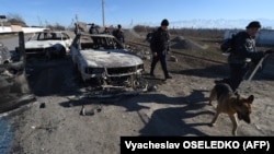 Полиция қызметкерлері жанжал болды деген елді мекендерді иіссезгіш итпен аралап жүр. Жамбыл облысы, Қордай ауданы, Бұлар-батыр ауылы 8 ақпан 2020 жыл.