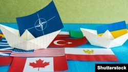 США стараются консолидировать европейские страны НАТО, которые более уязвимы в отношениях с Москвой