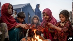 پاکستان کې افغان کډوال، ارشیف