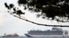 Круїзний лайнер Diamond Princess стоїть на якорі біля порту Йокогама у Японії