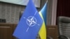 Україна є «на шляху до імплементації стандартів» – директорка центру інформації та документації НАТО