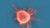 16x9 Image